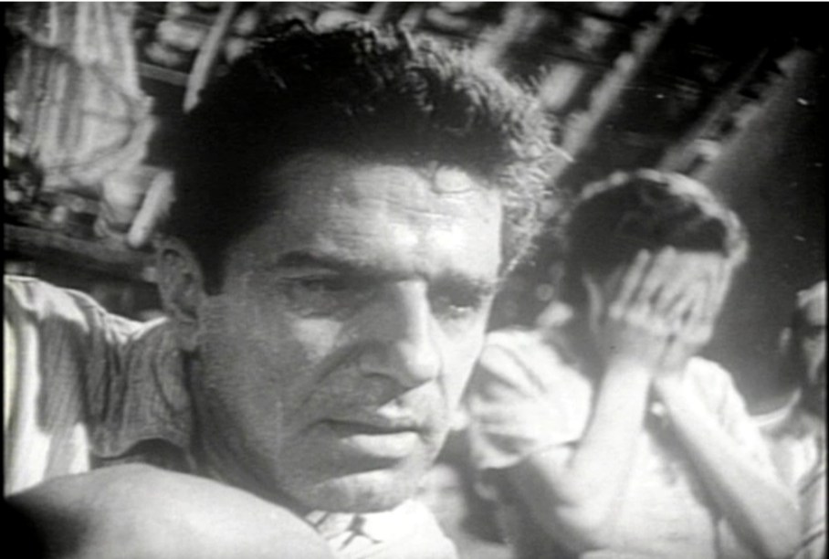 Terra é sempre terra 3