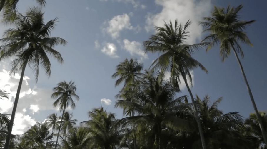 Captura de Tela 2015-07-30 às 17.40.39