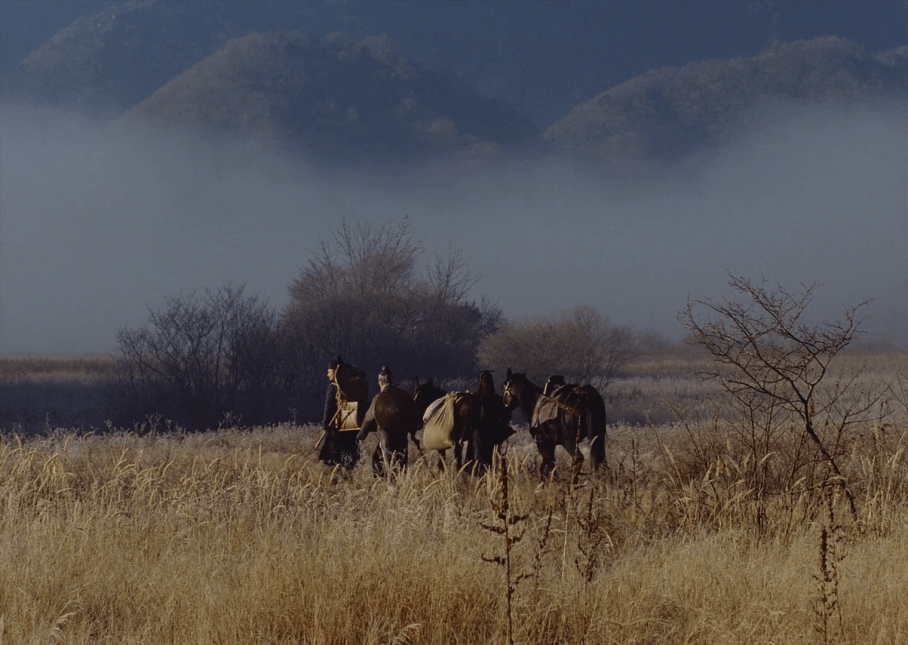 vlcsnap-2015-10-28-00h46m52s138